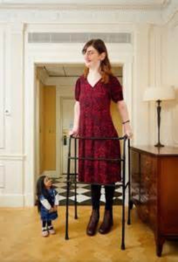 Dana Evans Height Salary: How Tall Is She?
