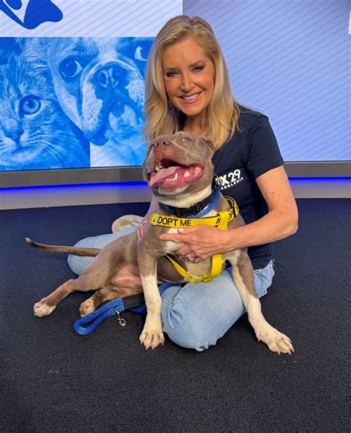 Dawn Timmeney Illness Explained, Is Fox 29 Reporter Sick?