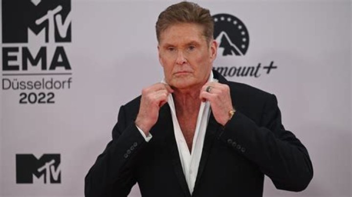 Does David Hasselhoff Wear A Wig? He Has A Disease, Just Like Cancer, Death Rumors Explained