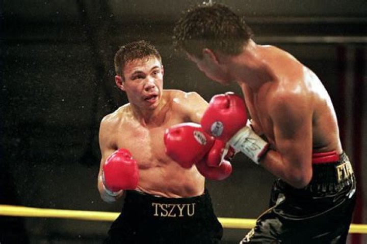 Kostya Tszyu Net Worth, Income, Salary, Earnings, Biography